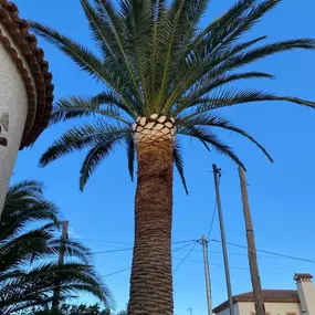 305267999-2-lbionPkPSp1759878366479.jpeg