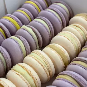 Bild von DREAM PASTRY