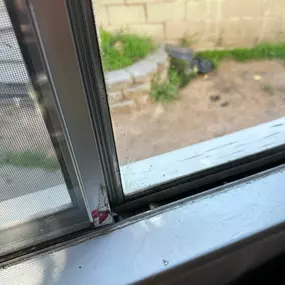 Bild von 24H Mold Inspection of Santa Clarita