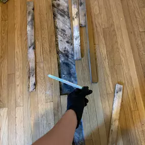 Bild von 24H Mold Inspection of Santa Clarita