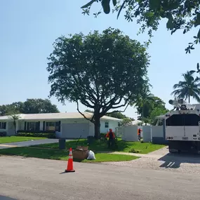 Bild von TranquiliTree Expert Tree Care
