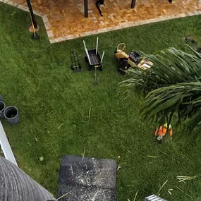 Bild von TranquiliTree Expert Tree Care