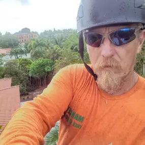 Bild von TranquiliTree Expert Tree Care