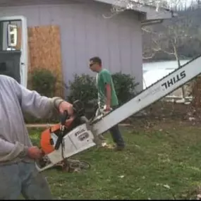 Bild von TranquiliTree Expert Tree Care