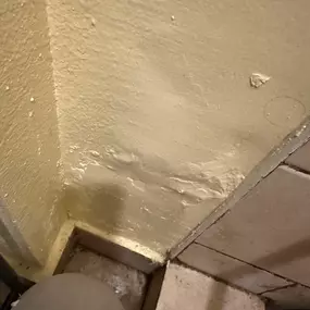 Bild von 24H Mold Inspection of Sherman Oaks