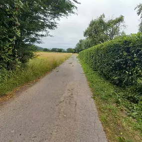 Bild von Gartenpflege Venohr