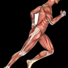 Bild von QC Kinetix (Ponte Vedra)