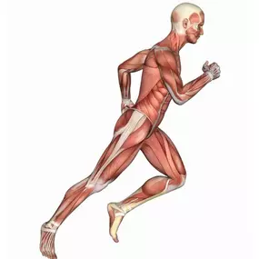 Bild von QC Kinetix (Provo)