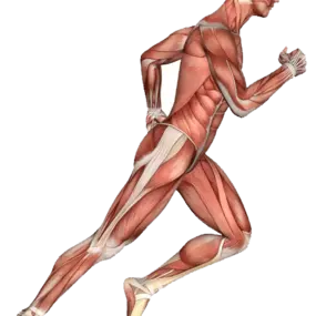 Bild von QC Kinetix (Maplewood)