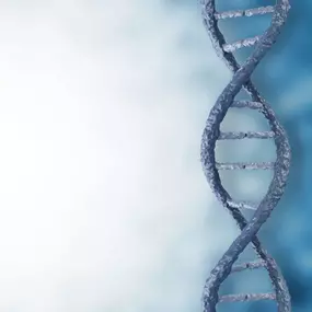 Bild von QC Kinetix (Appleton)