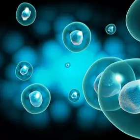 Bild von QC Kinetix (Exton)