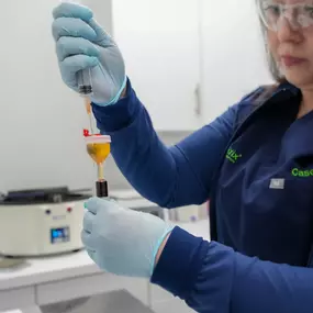 Bild von QC Kinetix (Mishawaka)