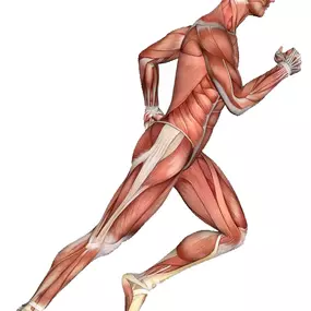 Bild von QC Kinetix (Chandler)