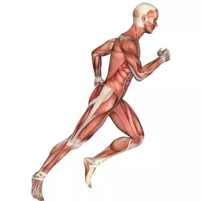 Bild von QC Kinetix (Lawrenceville)