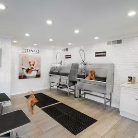 Bild von Advenir at Winterset