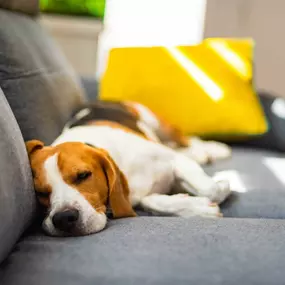 Bild von Advenir at Winterset