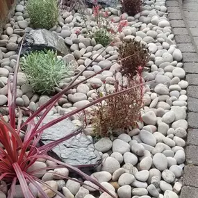 Bild von Poplar Landscapes N-W Ltd