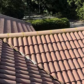 Bild von Proline Roofing & Property Maintenance Ltd