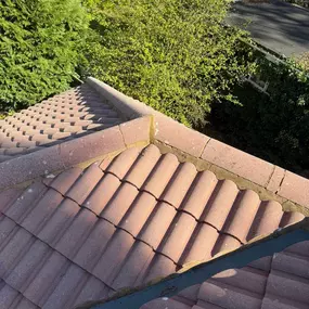 Bild von Proline Roofing & Property Maintenance Ltd