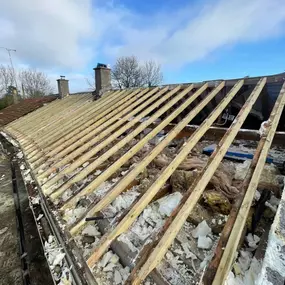 Bild von Proline Roofing & Property Maintenance Ltd