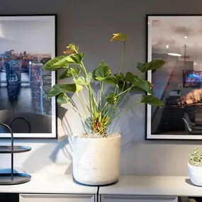 Bild von MindRoom collective Hamburg GmbH