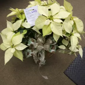 Bild von Seymour Florist