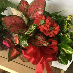 Bild von Seymour Florist