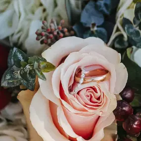 Bild von Seymour Florist