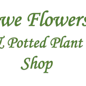 Bild von Awe Flowers & Potted Plant Shop