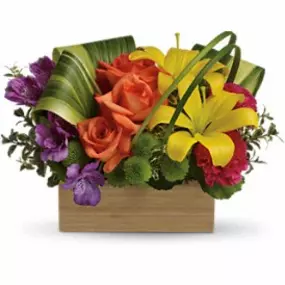 Bild von Shananne Cain Florist