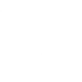 Bild von The Floral Garden