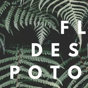 Bild von Floral Designs of Potomac