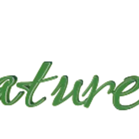 Bild von Signature Vase