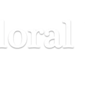 Bild von Noel Floral Design