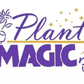 Bild von Plant Magic Florist