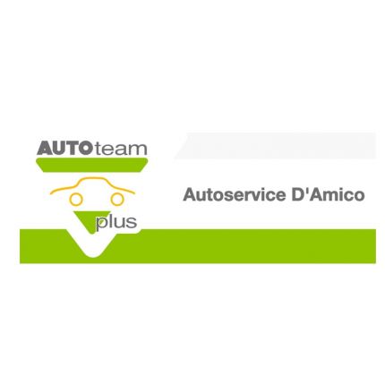Λογότυπο από Auto-Service D'Amico Inh. Scharbel Abdel Ahad