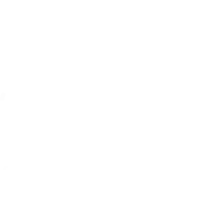 Bild von K & V Florist