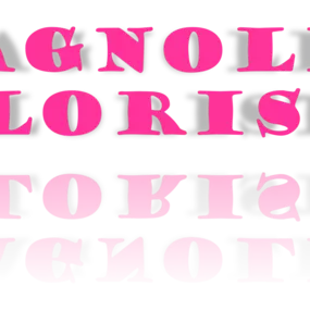 Bild von Magnolia Florist