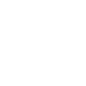 Bild von Carousel Flowers
