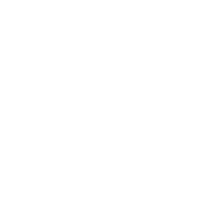 Bild von Pioneer Flowers