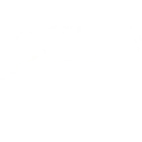 Bild von Paul Wood Florist