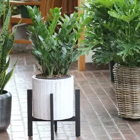 Bild von Conner Park Florist