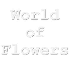 Bild von World Of Flowers