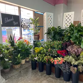A display of fresh flowers available from Herndon Florist!