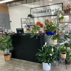 The front desk of Herndon Florist