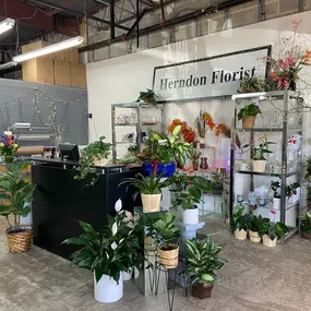 Herndon Florist Reston VA