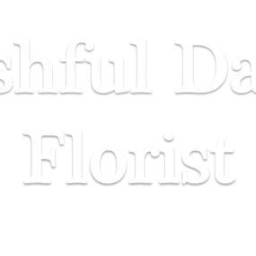 Bild von Bashful Daisy Florist
