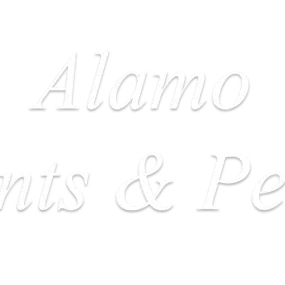 Bild von Alamo Plants & Petals