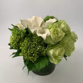 City Chic White & Green