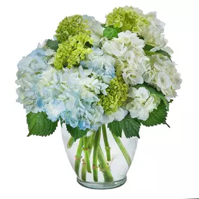 Bild von Flowers by Cammy, LLC Florist & Flower Delivery